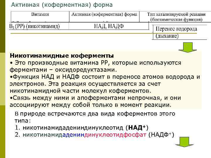 Активная (коферментная) форма Никотинамидные коферменты • Это производные витамина РР, которые используются ферментами –