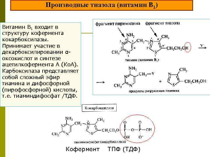  Производные тиазола (витамин В 1) Витамин В 1 входит в структуру кофермента кокарбоксилазы.