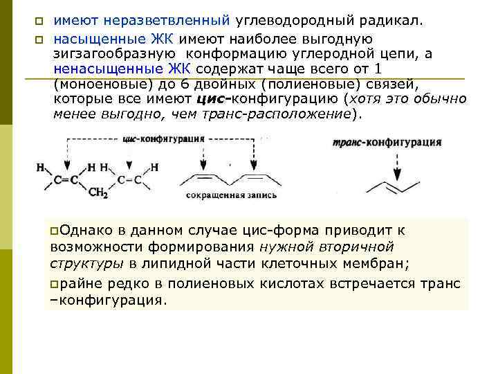p имеют неразветвленный углеводородный радикал. p насыщенные ЖК имеют наиболее выгодную зигзагообразную конформацию углеродной