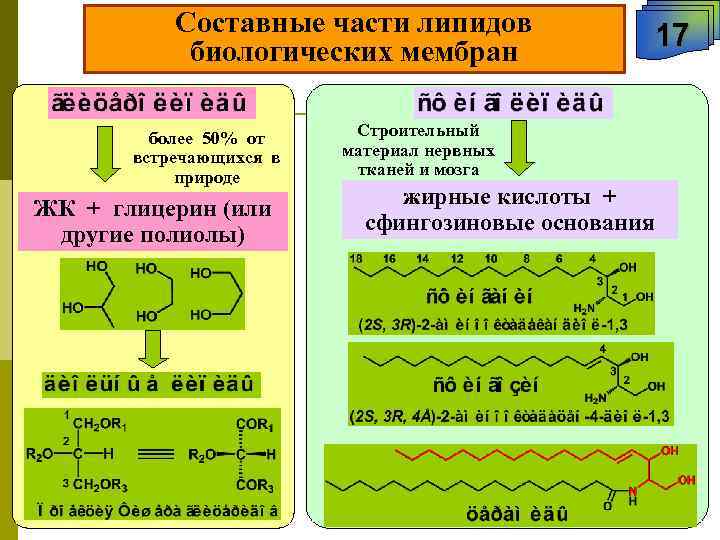  Составные части липидов 17 биологических мембран более 50% от Строительный встречающихся в материал