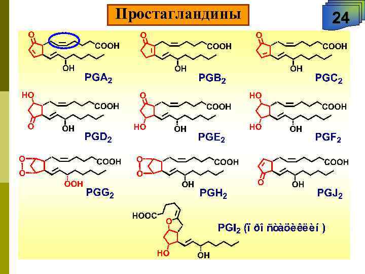 Простагландины 24 