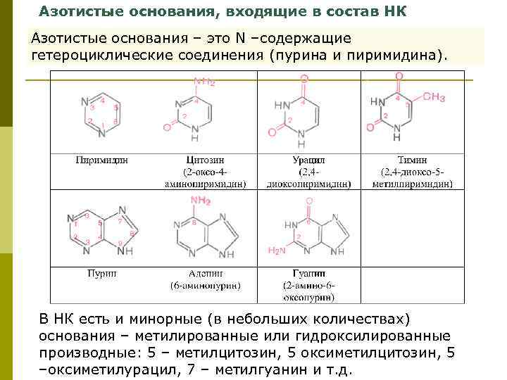 Азотистые основания, входящие в состав НК Азотистые основания – это N –содержащие гетероциклические соединения