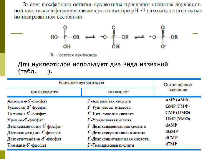 Для нуклеотидов используют два вида названий (табл. ___). 