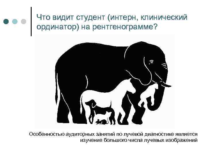 Что видит студент (интерн, клинический ординатор) на рентгенограмме? Особенностью аудиторных занятий по лучевой диагностике