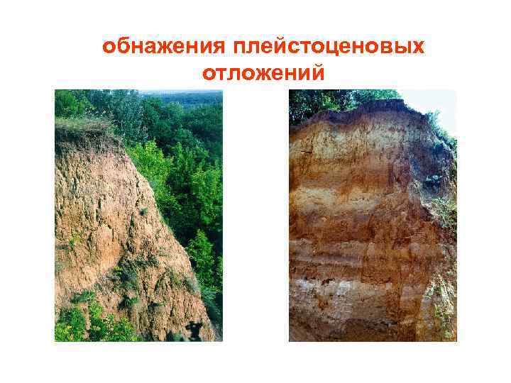 обнажения плейстоценовых отложений 