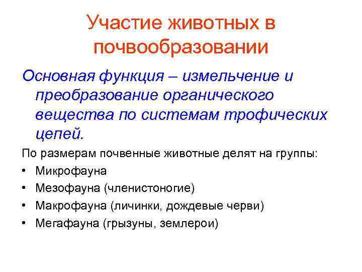 Участвуют в почвообразовании. Роль животных в почвообразовании. Участие в почвообразовании. Почвообразования животных в почвообразовании. Какие животные участвуют в почвообразовании.