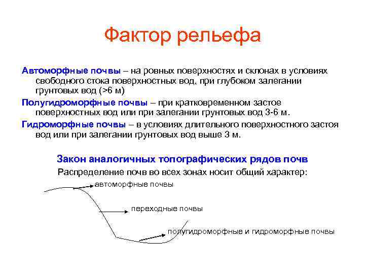 Фактор рельефа Автоморфные почвы – на ровных поверхностях и склонах в условиях свободного стока