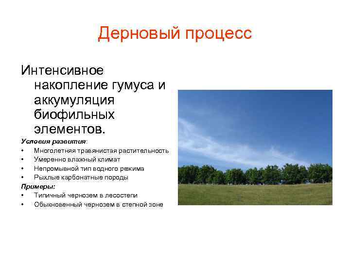 Дерновый процесс Интенсивное накопление гумуса и аккумуляция биофильных элементов. Условия развития: • Многолетняя травянистая