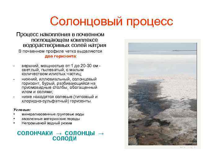 Солонцовый процесс Процесс накопления в почвенном поглощающем комплексе водорастворимых солей натрия В почвенном профиле
