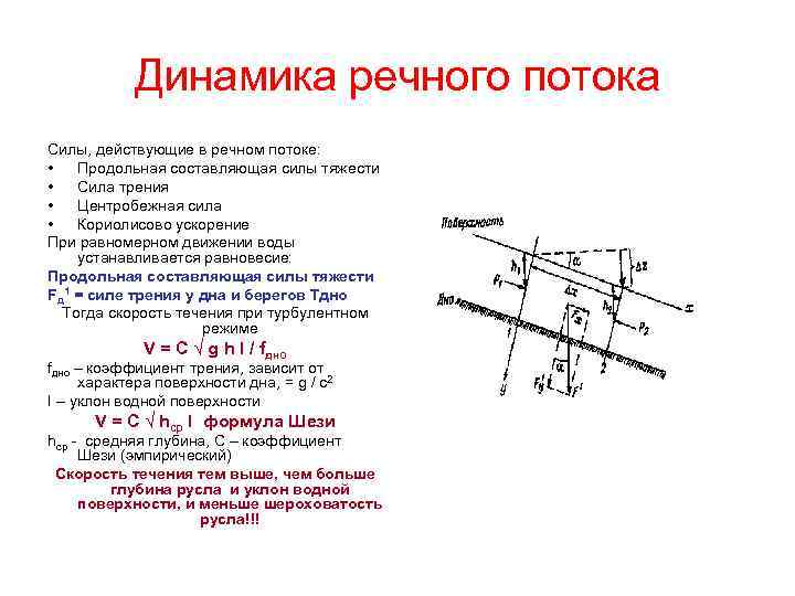 Динамика речного потока Силы, действующие в речном потоке: • Продольная составляющая силы тяжести •