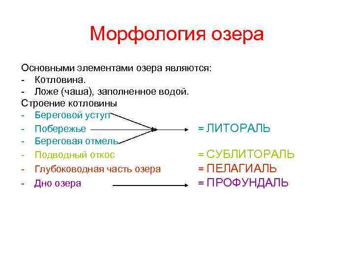 Схема озерной котловины