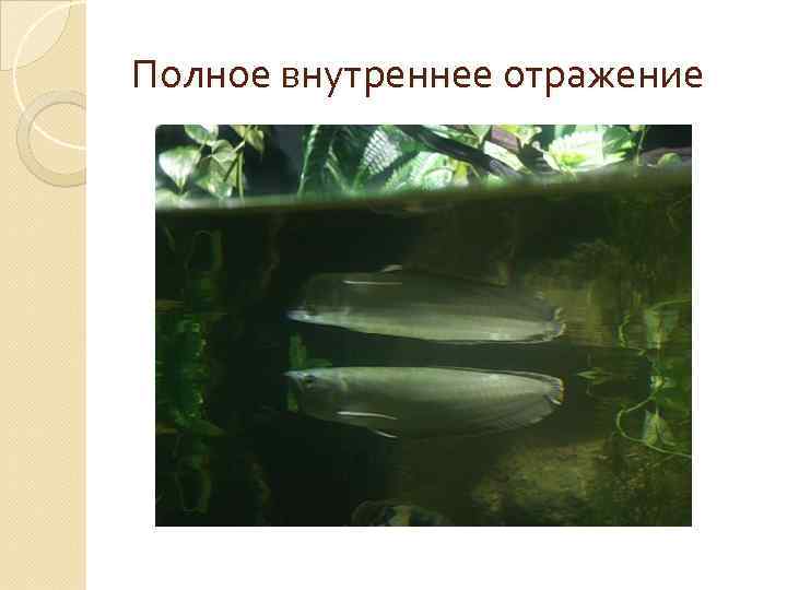 Полное внутреннее отражение 