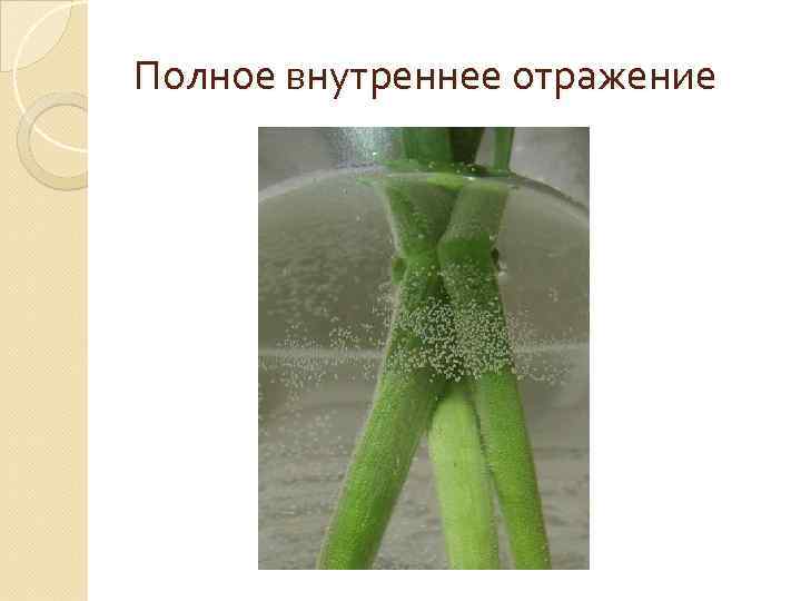 Полное внутреннее отражение 