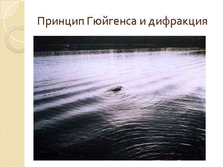 Принцип Гюйгенса и дифракция 