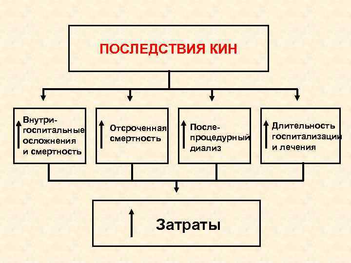 ПОСЛЕДСТВИЯ КИН Внутригоспитальные осложнения и смертность Отсроченная смертность Послепроцедурный диализ Затраты Длительность госпитализации и