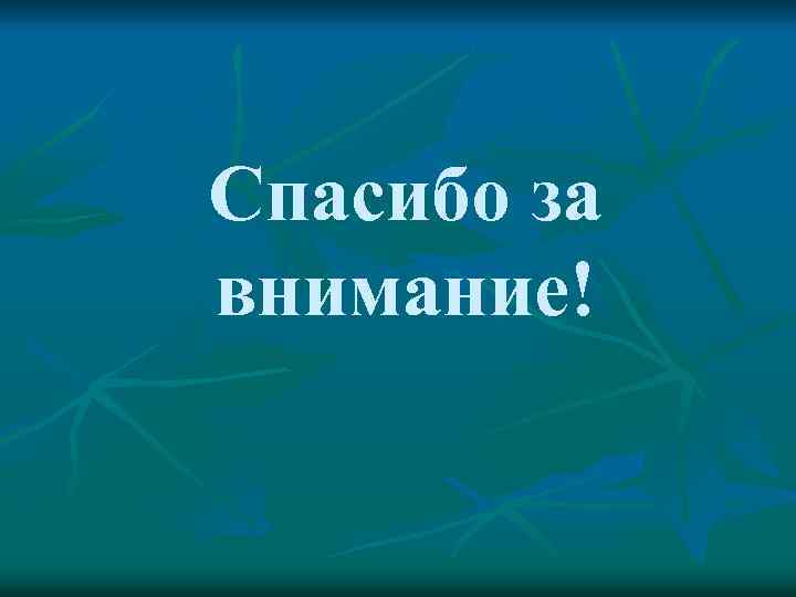 Спасибо за внимание! 