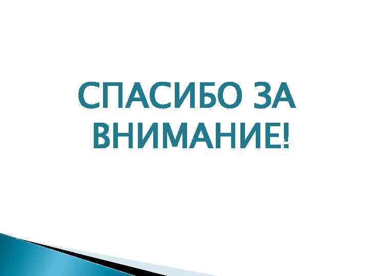 СПАСИБО ЗА ВНИМАНИЕ! 