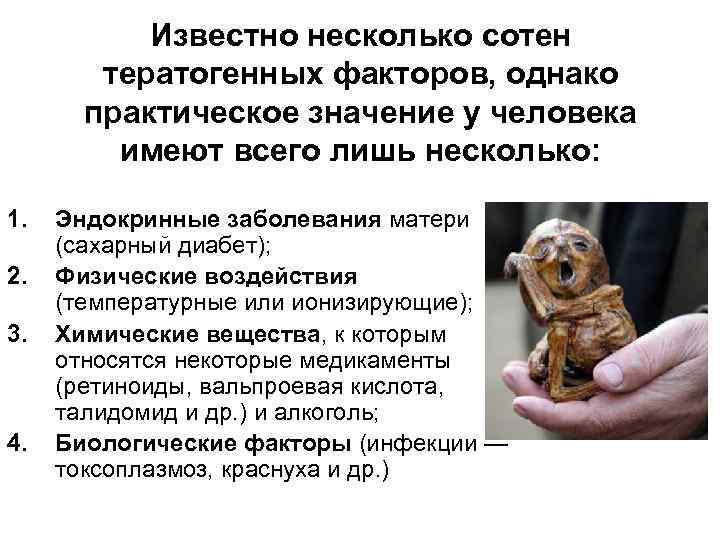 Известно несколько сотен тератогенных факторов, однако практическое значение у человека имеют всего лишь несколько:
