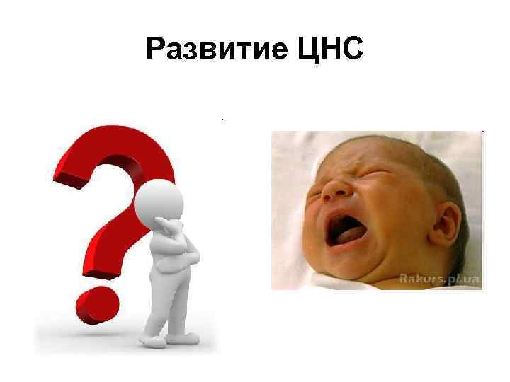 Развитие ЦНС 