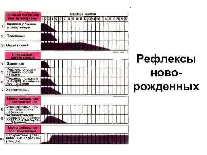 Рефлексы новорожденных 