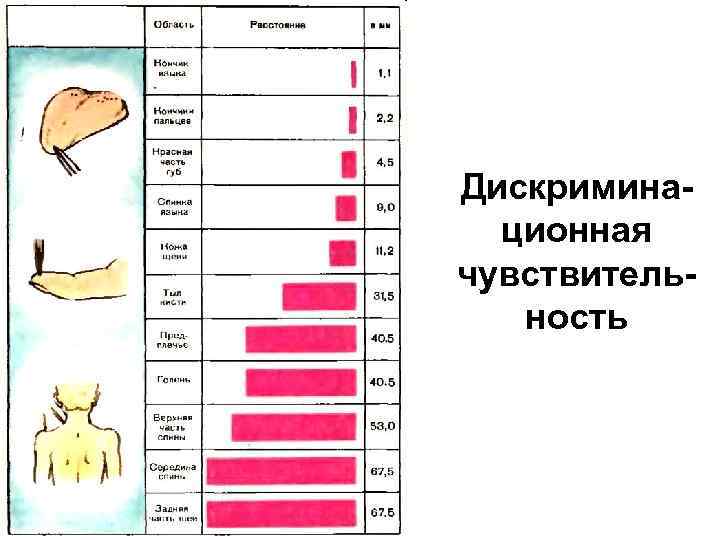 Дискриминационная чувствительность 