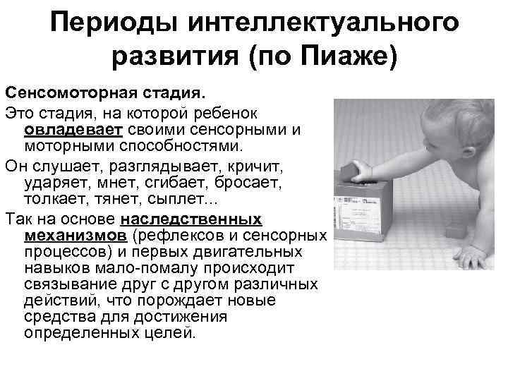 Периоды интеллектуального развития (по Пиаже) Сенсомоторная стадия. Это стадия, на которой ребенок овладевает своими