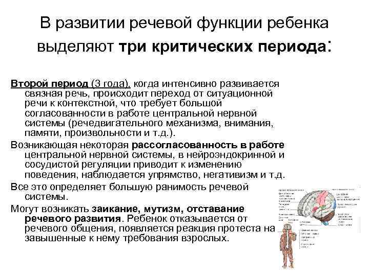 В развитии речевой функции ребенка выделяют три критических периода: Второй период (3 года), когда