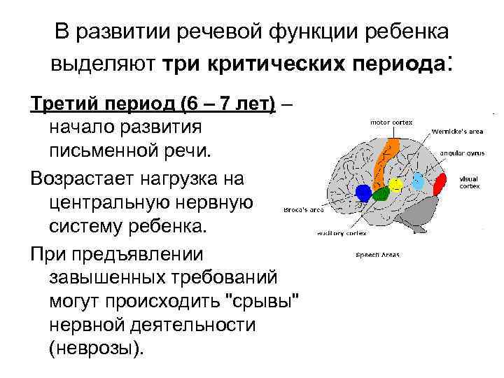В развитии речевой функции ребенка выделяют три критических периода: Третий период (6 – 7