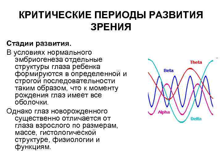 КРИТИЧЕСКИЕ ПЕРИОДЫ РАЗВИТИЯ ЗРЕНИЯ Стадии развития. В условиях нормального эмбриогенеза отдельные структуры глаза ребенка