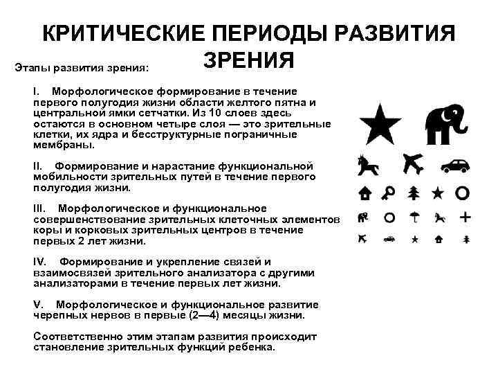 КРИТИЧЕСКИЕ ПЕРИОДЫ РАЗВИТИЯ ЗРЕНИЯ Этапы развития зрения: I. Морфологическое формирование в течение первого полугодия