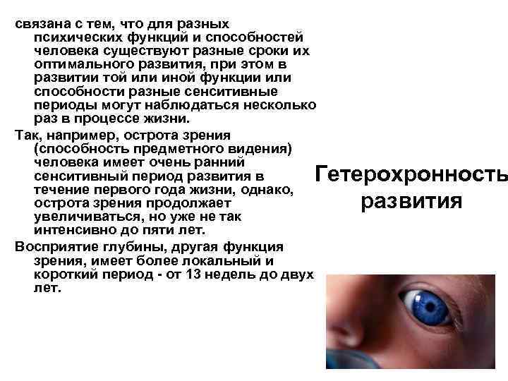 связана с тем, что для разных психических функций и способностей человека существуют разные сроки