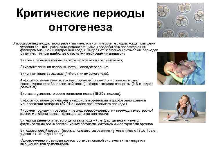 Критические периоды онтогенеза В процессе индивидуального развития имеются критические периоды, когда повышена чувствительность развивающегося