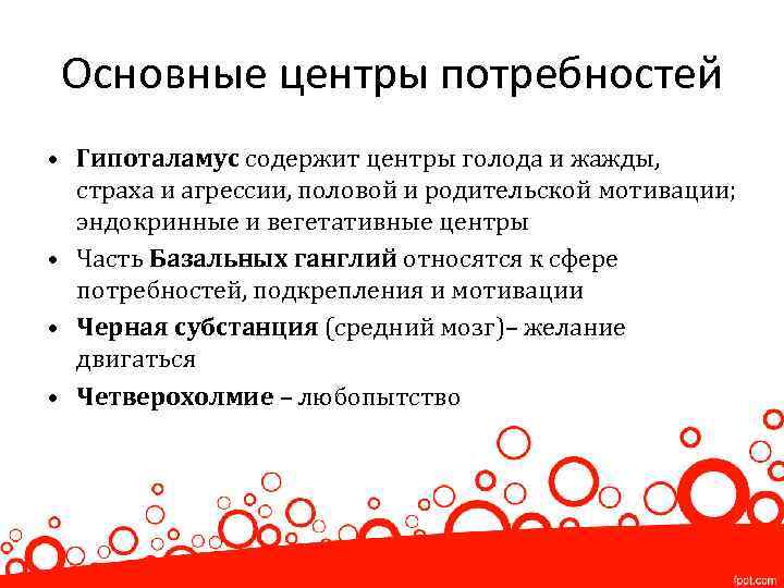 Основные центры потребностей • Гипоталамус содержит центры голода и жажды, страха и агрессии, половой