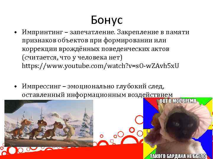Бонус • Импринтинг – запечатление. Закрепление в памяти признаков объектов при формировании или коррекции