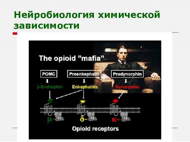 Нейробиология химической зависимости 