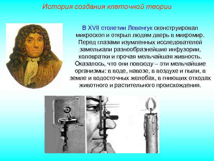 История создания клеточной теории В XVII столетии Левенгук сконструировал микроскоп и открыл людям дверь
