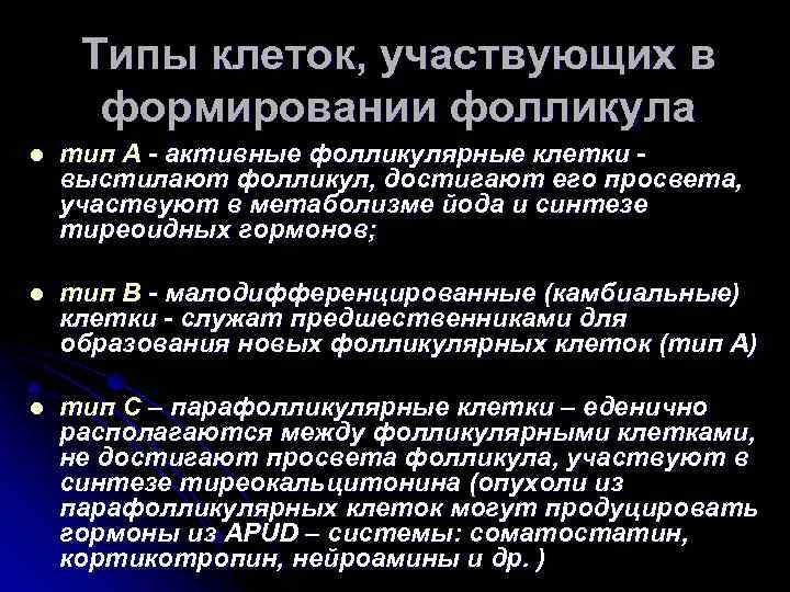 Типы клеток, участвующих в формировании фолликула l тип А активные фолликулярные клетки выстилают фолликул,