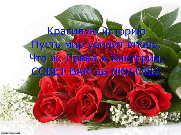 Красивую историю Пусть мир увидит вновь, Что ж, Павел и Виктория, СОВЕТ ВАМ да
