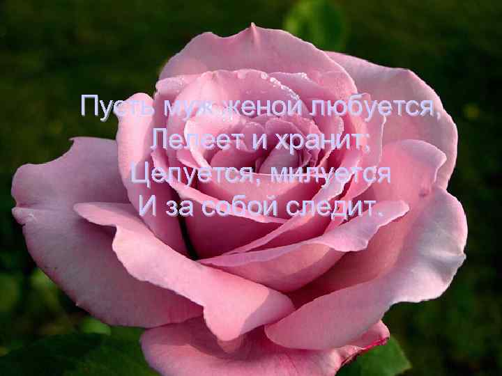 Пусть муж женой любуется, Лелеет и хранит; Целуется, милуется И за собой следит. 