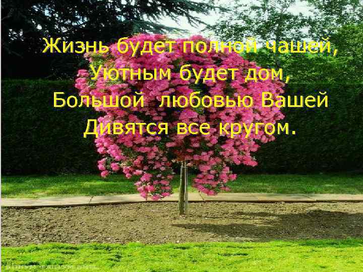 Жизнь будет полной чашей, Уютным будет дом, Большой любовью Вашей Дивятся все кругом. 