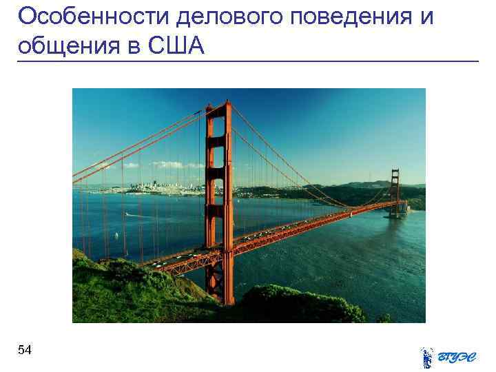 Особенности делового поведения и общения в США 54 