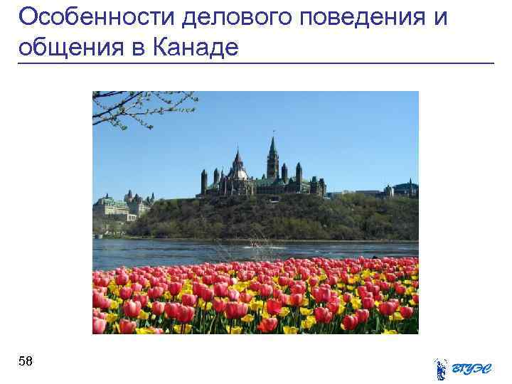 Особенности делового поведения и общения в Канаде 58 