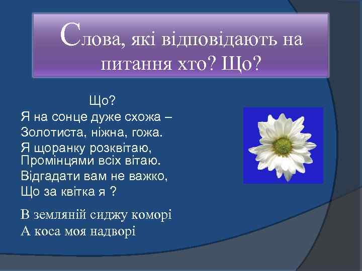 Слова, які відповідають на питання хто? Що? Я на сонце дуже схожа – Золотиста,