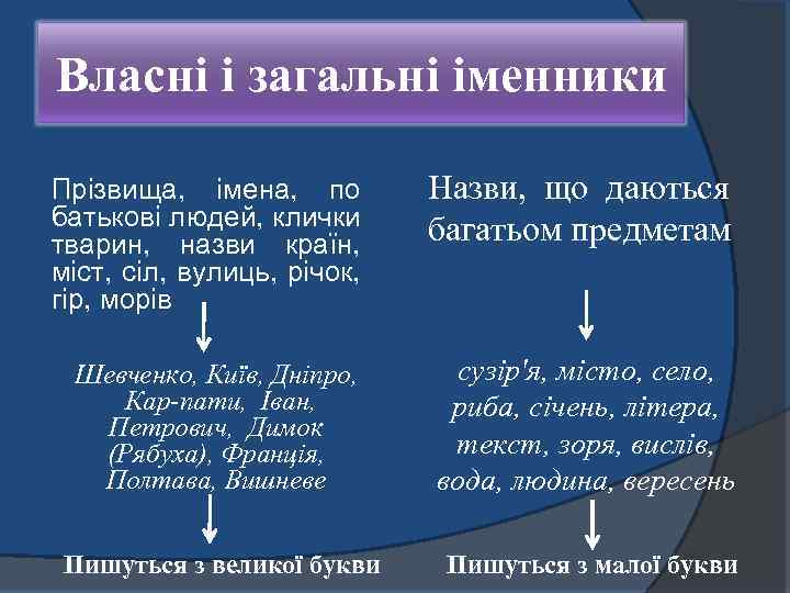 Власні і загальні іменники Прізвища, імена, по батькові людей, клички тварин, назви країн, міст,