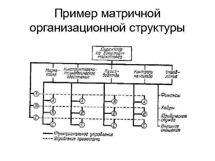 Пример матричной организационной структуры 