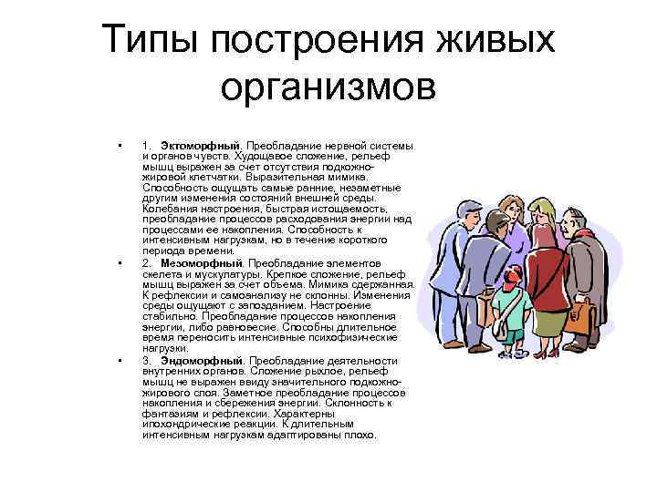 Типы построения живых организмов • • • 1. Эктоморфный. Преобладание нервной системы и органов