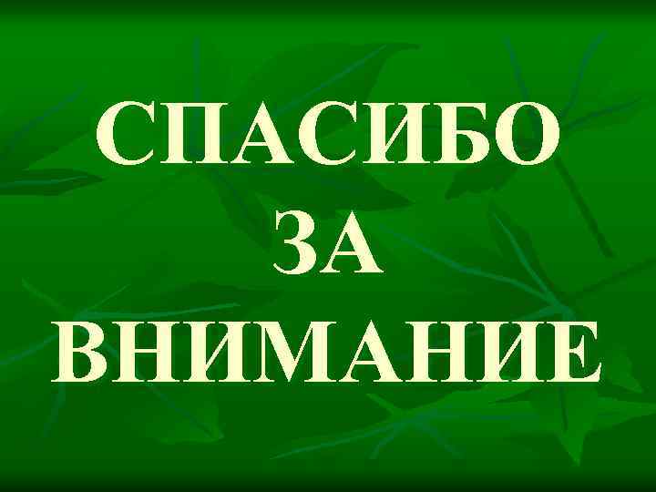 СПАСИБО ЗА ВНИМАНИЕ 