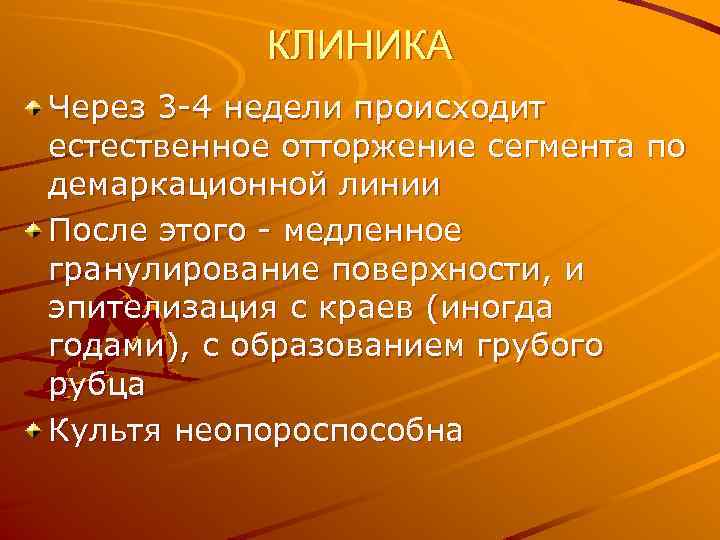 КЛИНИКА Через 3 -4 недели происходит естественное отторжение сегмента по демаркационной линии После этого