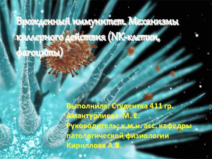 Врожденный иммунитет. Механизмы киллерного действия (NK-клетки, фагоциты) Выполнила: Студентка 411 гр. Амантурлиева М. Е.