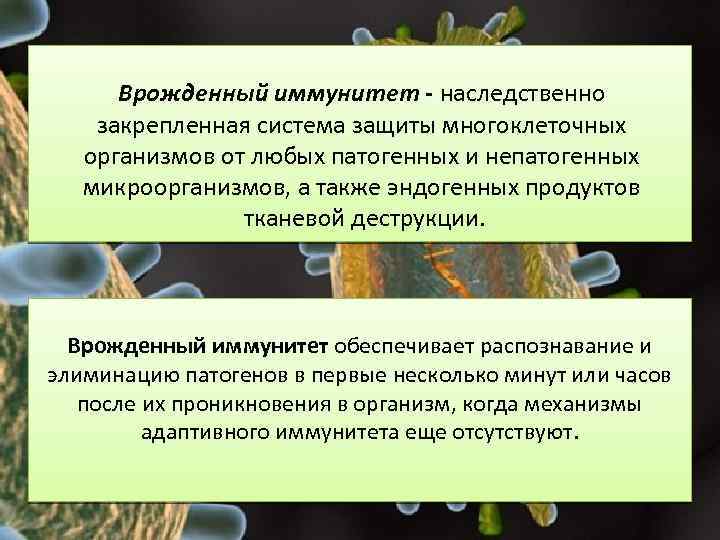 Врожденный иммунитет - наследственно закрепленная система защиты многоклеточных организмов от любых патогенных и непатогенных